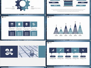 網(wǎng)絡(luò)與信息安全軟件開(kāi)發(fā) 從技術(shù)實(shí)踐到商務(wù)呈現(xiàn)